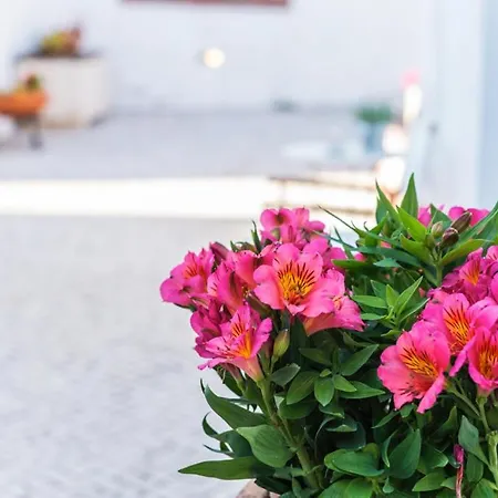 Casas Do Barrio * אלקובאקה