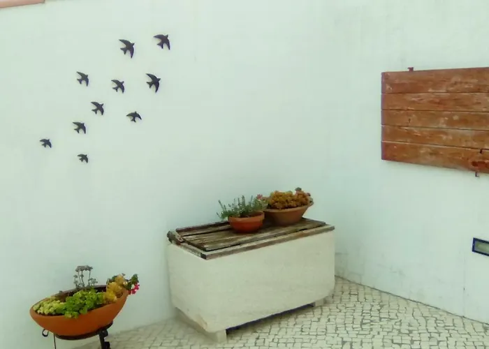 Casas Do Barrio Villa Alcobaça