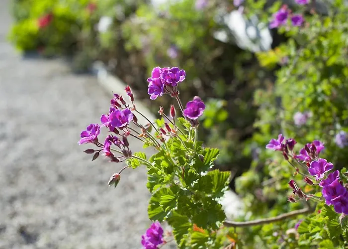Casas Do Barrio Villa *